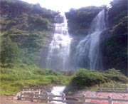 泰顺天气预报60天