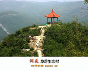 洞头天气预报60天
